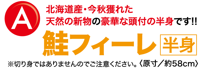 北海道産・今秋獲れた天然の新物の豪華な頭付の半身・文字