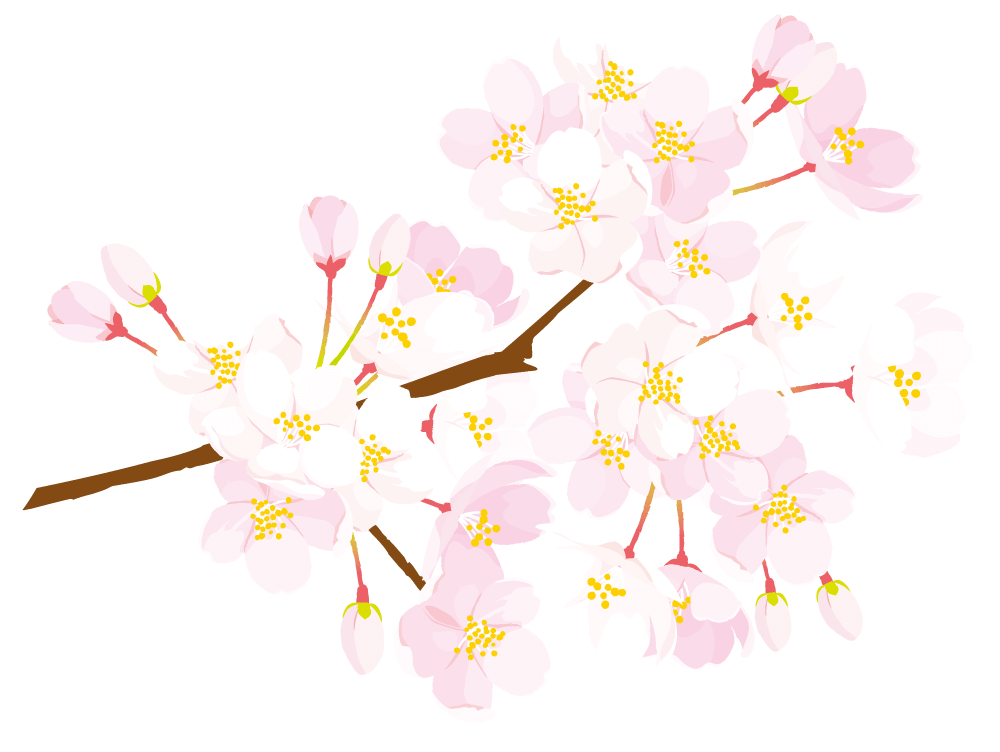 さくら