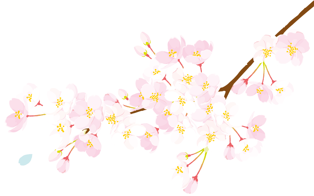 桜