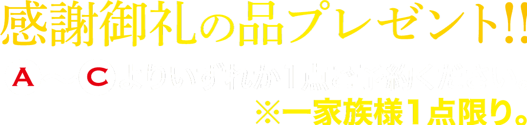 感謝御礼の品プレゼント!!A ~Cよりいずれか1点ご予約ください。 ※一家族様1点限り。