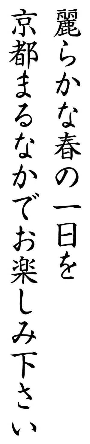 麗らかな春の一日を京都まるなかでお楽しみ下さい