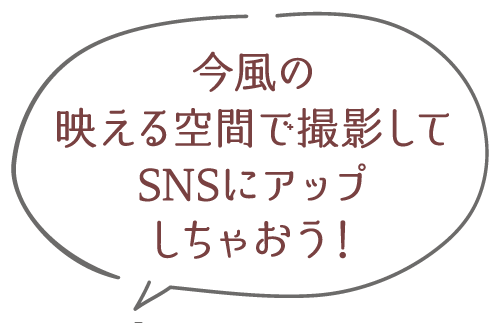 今風の映える空間で撮影してSNSにアップしちゃおう!