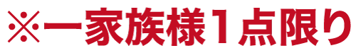 ※一家族様1点限り