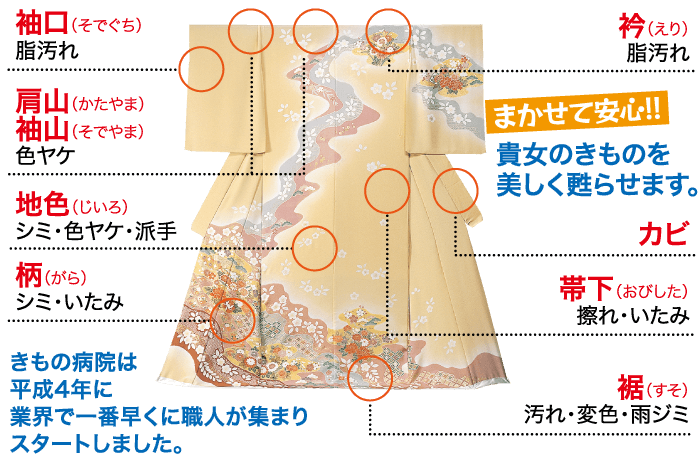 袖口 (そでぐち) 脂汚れ 肩山 ( かたやま ) 袖山 (そでやま) 色ヤケ 地色 ( じいろ ) シミ・色ヤケ・派手 柄 (がら) シミ ・ いたみ 衿(えり) 脂汚れ まかせて安心!! 貴女のきものを 美しく甦らせます。 カビ 帯下 (おびした) 擦れ・いたみ きもの病院は 平成4年に (そ) 業界で一番早くに職人が集まり 汚れ・変色・雨ジミ スタートしました。