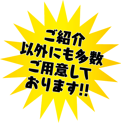 黄色のスターバーストに黒の太字の日本語テキストが白で縁取られ、「ご紹介以外にも多数ご用意しております!!」と書かれています。これは「紹介したもの以外にもたくさんあります！」と訳します。透明な背景に。.
