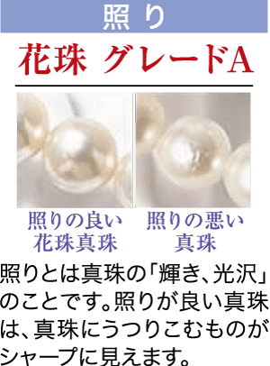 光沢の異なる2つの真珠を比較した画像です。左側は「照りの良い花珠真珠」と書かれた、明るく輝く真珠です。右側の、くすんだ真珠には「照りの悪い真珠」と表示されています。タイトルには「照り花珠グレードA」と書かれており、光沢グレードを強調しています。.