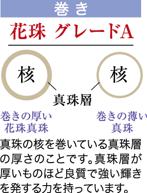 真珠の重要なポイントを強調した図。上部では「グレード A」が強調されています。「巻き」とラベルの付いた 2 つのセクションでは、真珠層 (「核」) の厚い真珠と薄い真珠について説明します。層が厚いほど光沢が強くなることが説明されています。色とグラフィックでセクションが区別されています。.