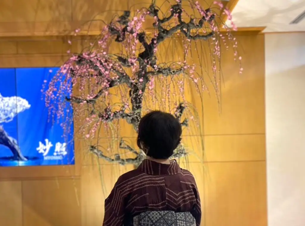 伝統的な着物を着た人がカメラに背を向け、梅の花にぴったりなピンクの飾り木を眺めている。左手には温かみのある木製の壁と、日本語の白い文字が書かれた青いスタッフBLOGの看板。.