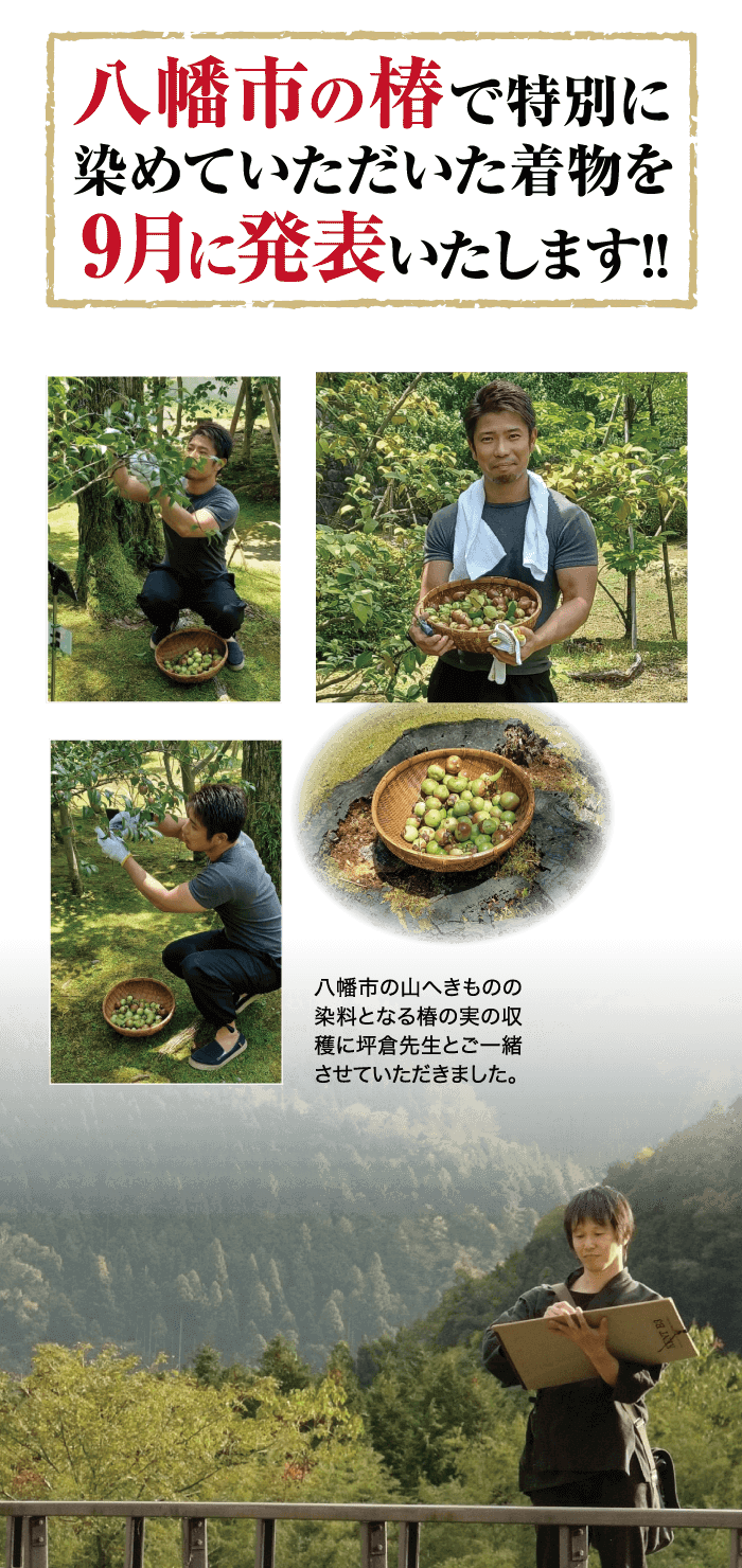 八幡市の椿で特別に 染めていただいた着物を 9月に発表いたします!! 八幡市の山へきものの 染料となる椿の実の収 穫に坪倉先生とご一緒 させていただきました。