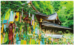 日本の伝統的な神社は、七夕の願い事を書いた札と思われる、色とりどりの長方形の紙片で飾られた鮮やかな緑の竹の枝で部分的に隠されています。神社は、装飾的な暗い木造建築が特徴で、緑豊かな森を背景に建てられています。