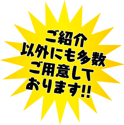 黄色のスターバーストに黒の太字の日本語テキストが白で縁取られ、「ご紹介以外にも多数ご用意しております!!」と書かれています。これは「紹介したもの以外にもたくさんあります！」と訳します。透明な背景に。.