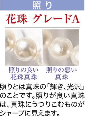 光沢の異なる2つの真珠を比較した画像です。左側は「照りの良い花珠真珠」と書かれた、明るく輝く真珠です。右側の、くすんだ真珠には「照りの悪い真珠」と表示されています。タイトルには「照り花珠グレードA」と書かれており、光沢グレードを強調しています。.