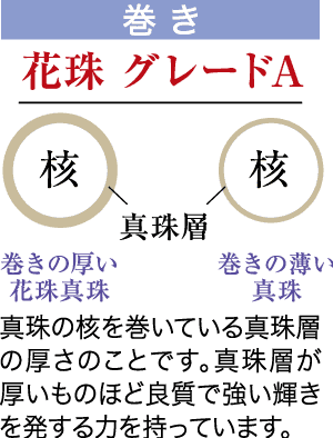 真珠の重要なポイントを強調した図。上部では「グレード A」が強調されています。「巻き」とラベルの付いた 2 つのセクションでは、真珠層 (「核」) の厚い真珠と薄い真珠について説明します。層が厚いほど光沢が強くなることが説明されています。色とグラフィックでセクションが区別されています。.