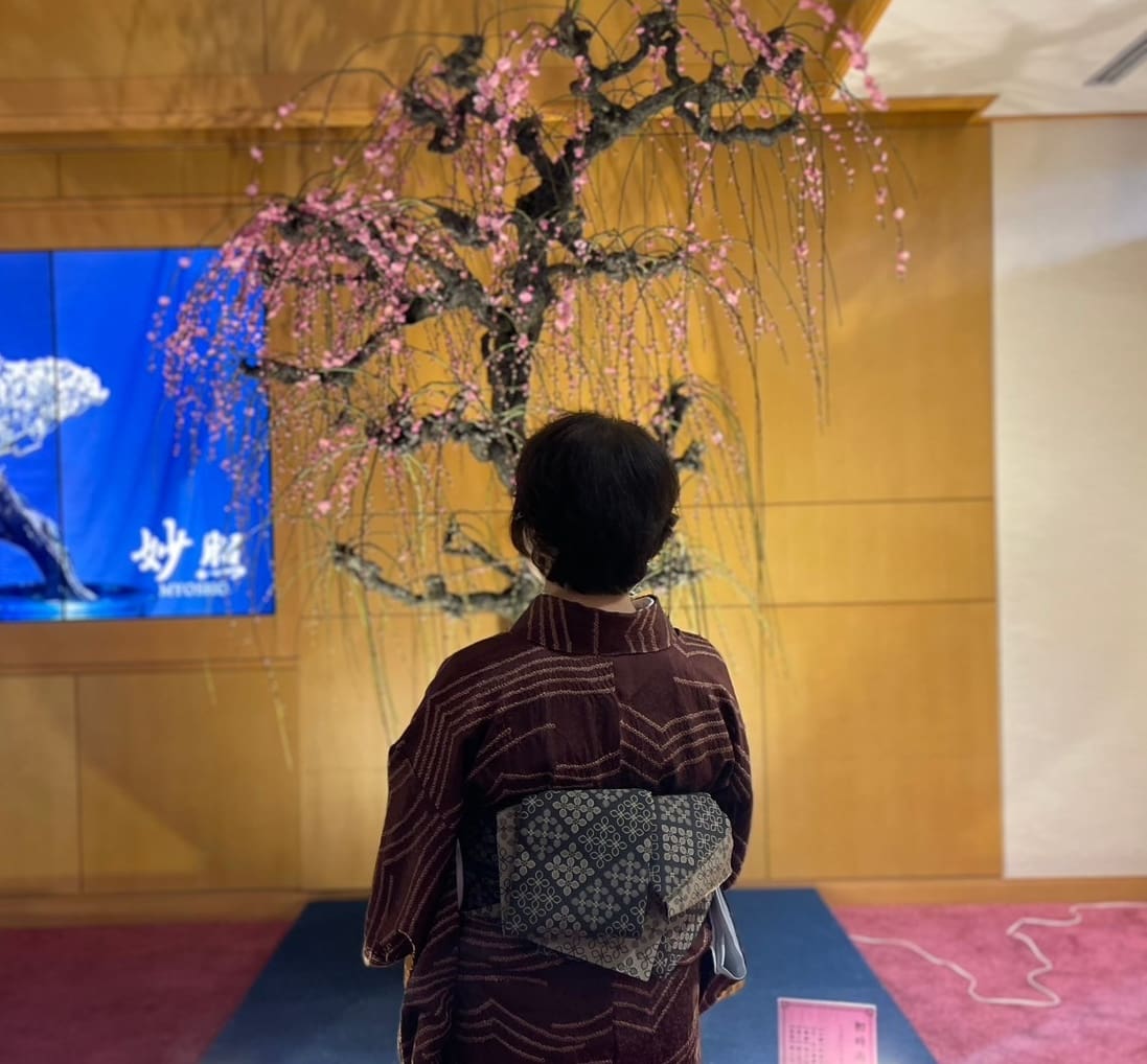 複雑な帯を締めた伝統的な栗色の着物を着た人が、ピンクの花が咲いた飾り木に向かって立っています。その背後には木製の壁と、白い書道が描かれた青い旗があります。この場面は、柔らかな間接照明が当てられた屋内のようです。.